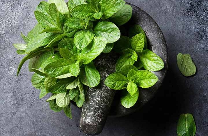 10 Straightforward Methods To Use Mint Leaves To Get Rid Of Pimples Scars