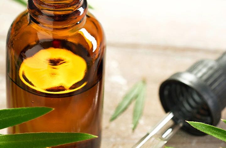 Tea Tree Oil For Pimples – Advantages, Makes use of, Dangers, And Extra