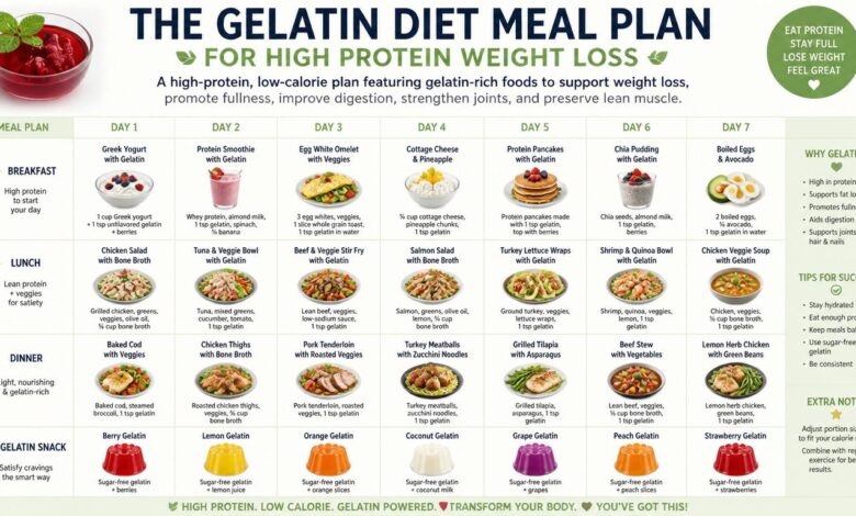 The Gelatin Diet Meal Plan for High Protein Weight Loss
